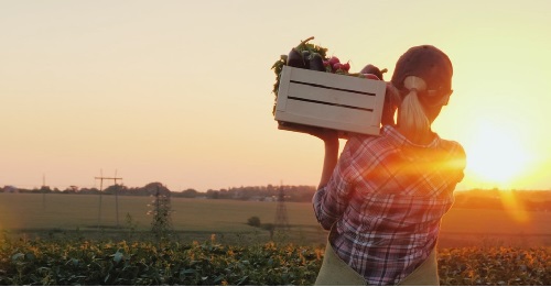 agenzia assicurativa plurimandataria calabria preventivi rca allianz agricoltura agenzia assicurativa plurimandataria calabria preventivi rca allianz agricoltura
